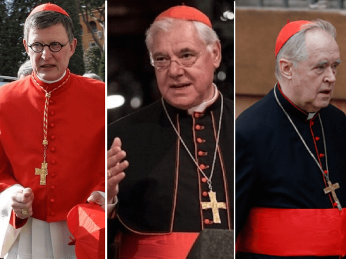 Cardenales posible cisma Alemania