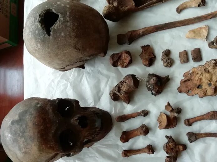 Identifican restos óseos de mártires