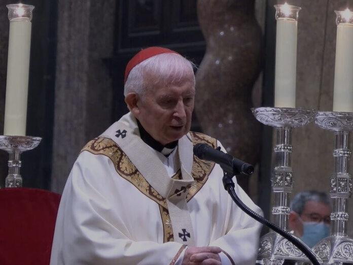 Cardenal Cañizares exhorta a contemplar