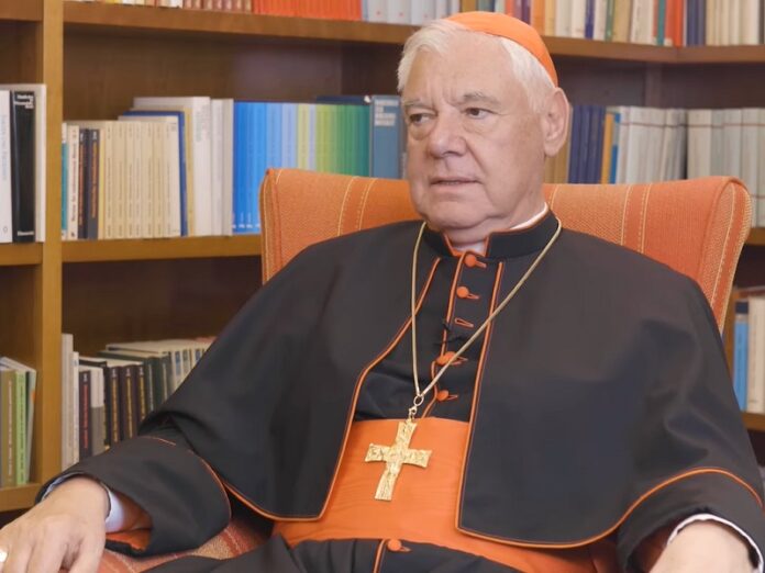 Cardenal Müller: «Lo que persigue Camino
