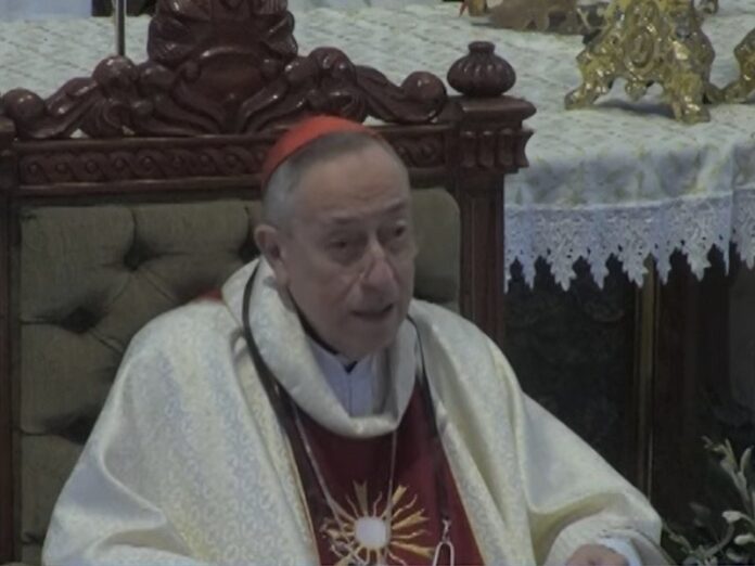 Cardenal Maradiaga: «Hay una serie de pequeños
