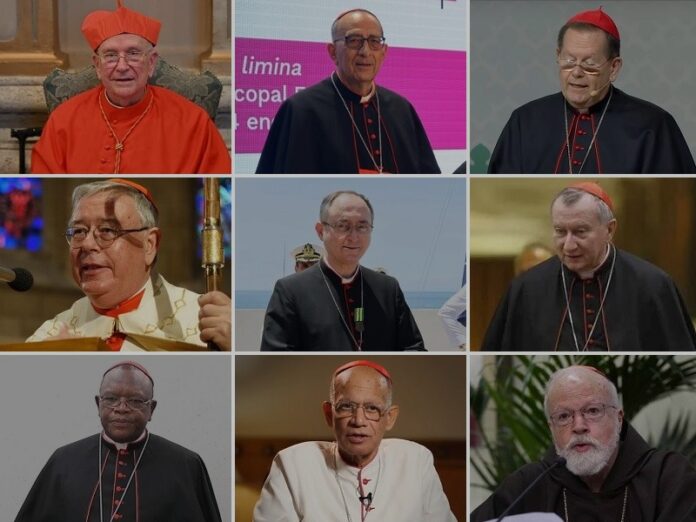 Francisco renueva Consejo de Cardenales